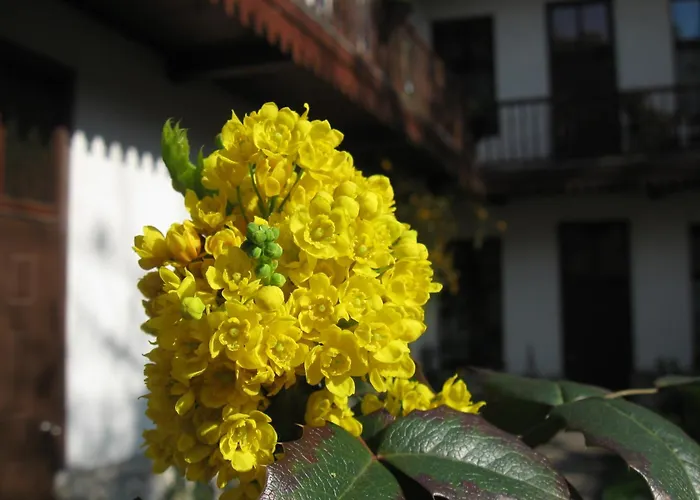 Globtroter Guest House